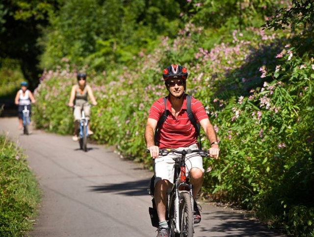 Paddle down the sunny lane